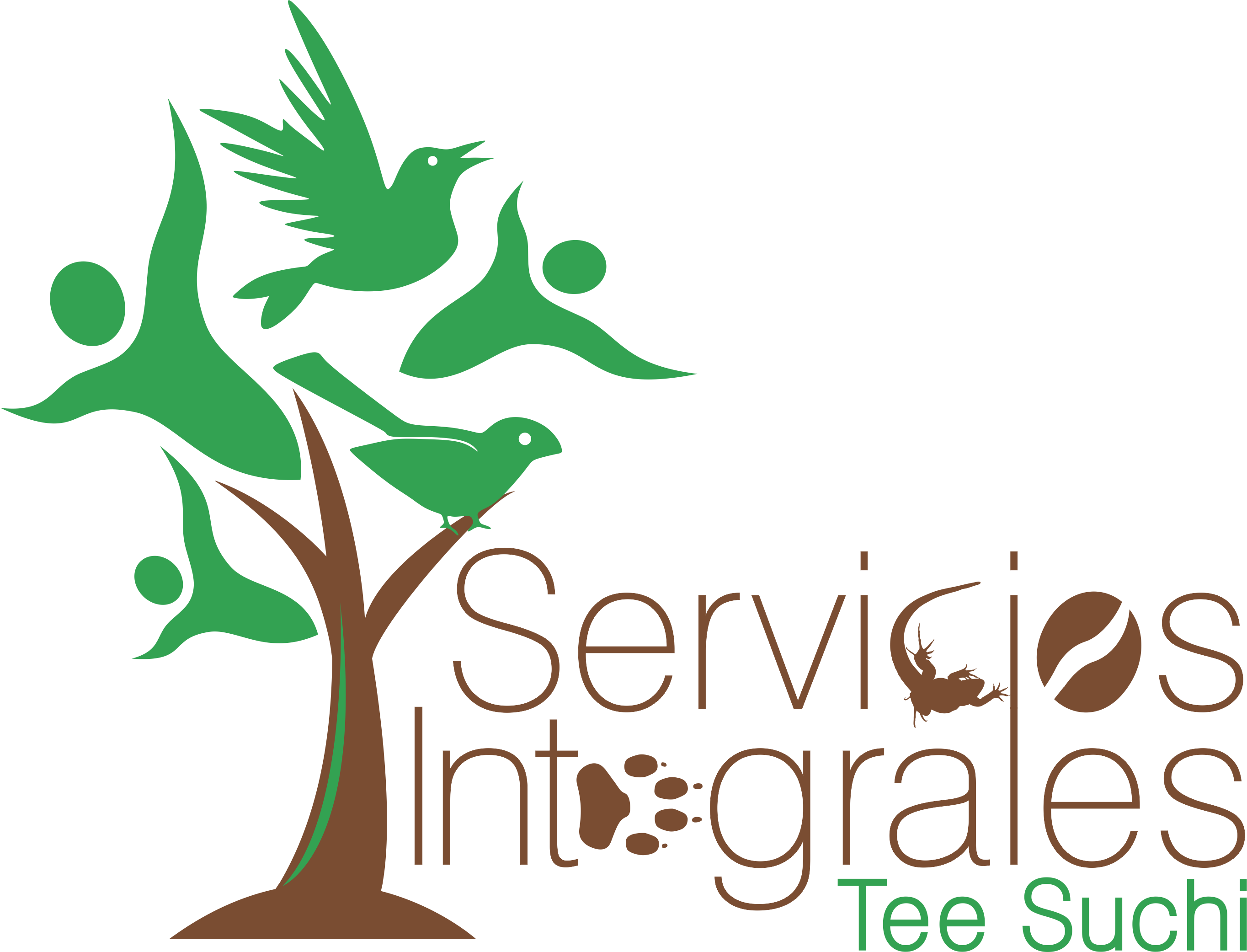 Servicios Integrales Tee Suchi SC de RL	
